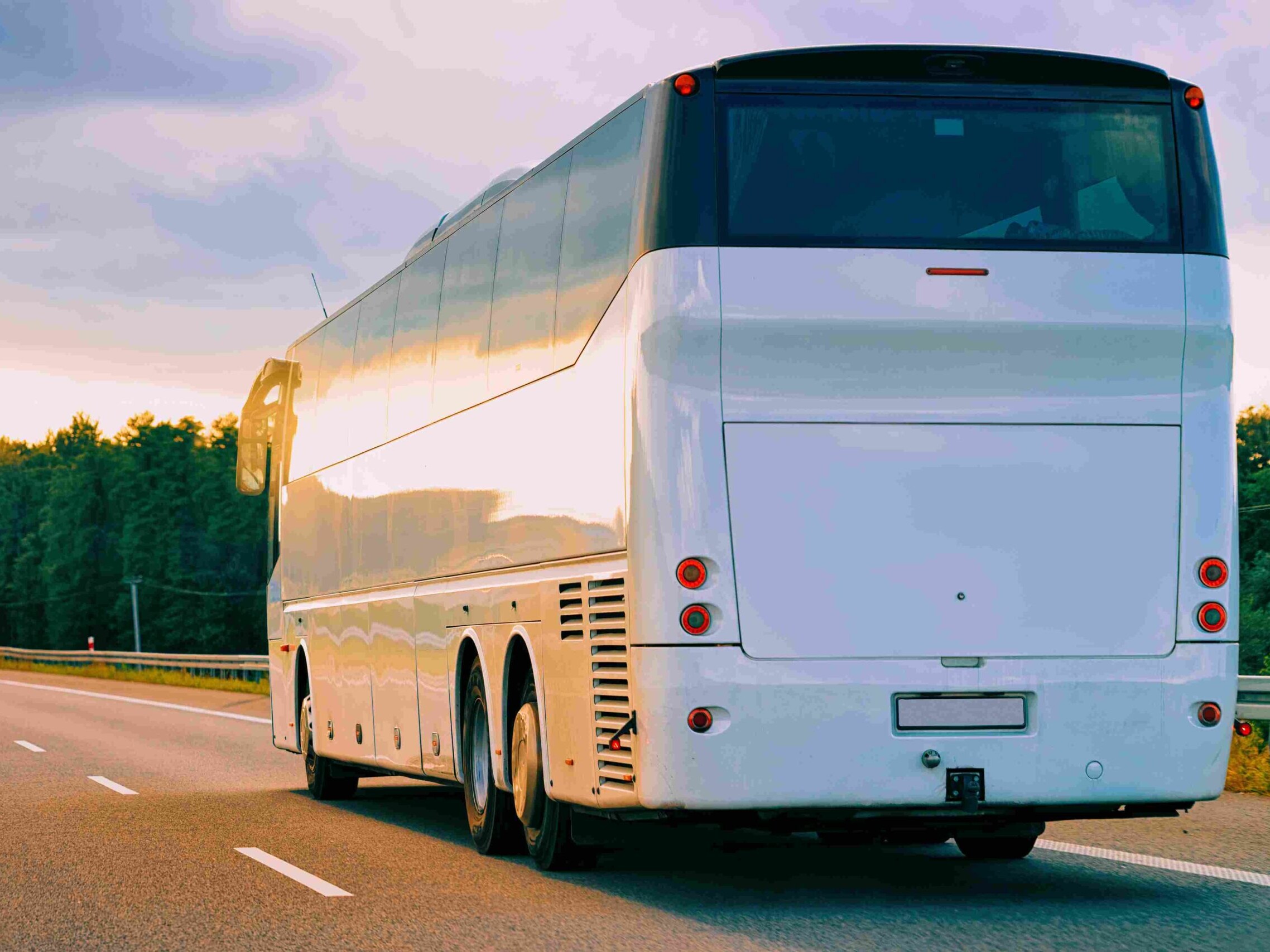 Buss shutterstock 1225299499